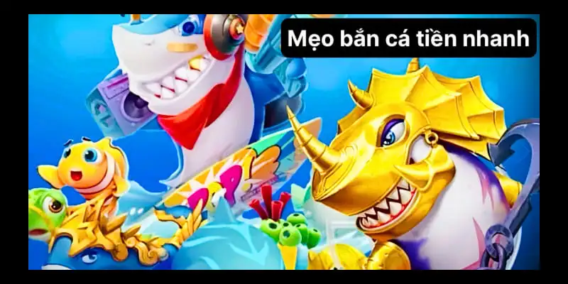 Bí kíp từ các chuyên gia