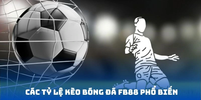 3 loại kèo bóng đá phổ biến nhất tại FB68