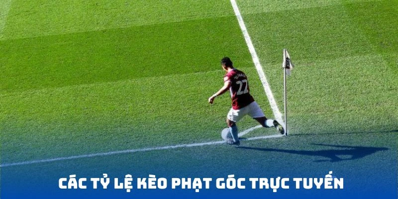 Những tỷ lệ cược kèo phạt góc phổ biến